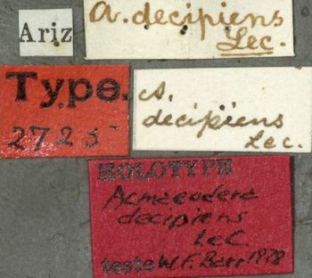 Media type: image;   Entomology 2725 Aspect: labels